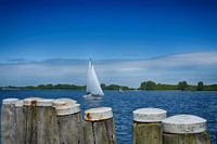 Ik zou graag rond de wereld zeilen