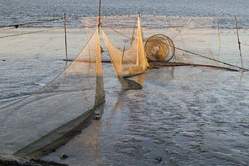 Visnet op het drooggevallen wad bij Lauwersoog van Tim Groeneveld