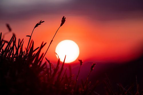 Zonsopgang in de Alpen