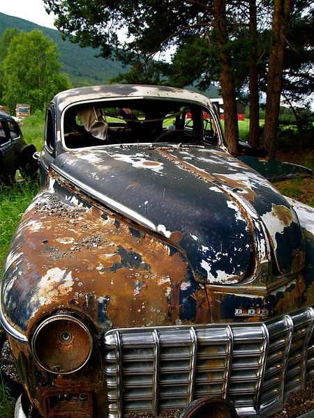 Dodge #1 by Frenz' van de Grift