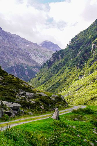 Ongerepte alpenwildernis in de Zwitserse Alpen met ruige bergtoppen en ruige natuur.