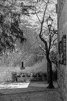 Sunny alley