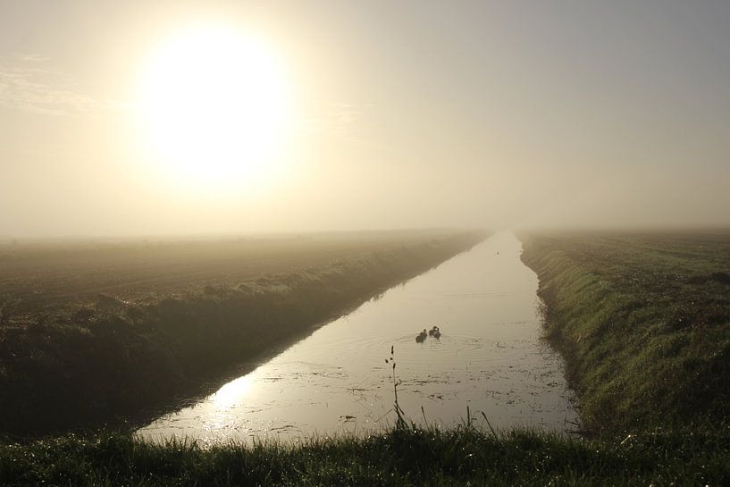 Texel Landschap 055 by Starworks:  LinaLena van der Star