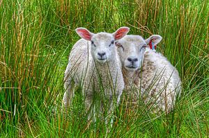Mutter und Kind