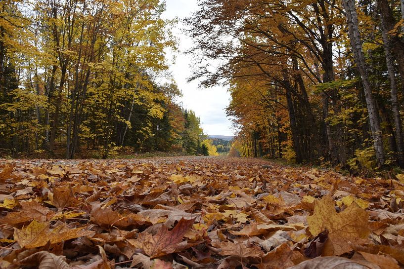 Eine Landstraße im Herbst von Claude Laprise