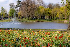 Breda - Wilhelminapark van I Love Breda