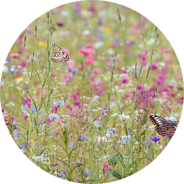 Bloemenveld met vlinders van Martin Bergsma