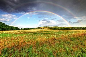 Regenboog
