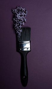 Een paarse bloemen verfkwast