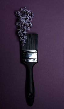 Een paarse bloemen verfkwast van MirjamCornelissen - Fotografie
