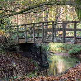 Wooden bridge in an autumn forest in the Netherlands van Tonko Oosterink