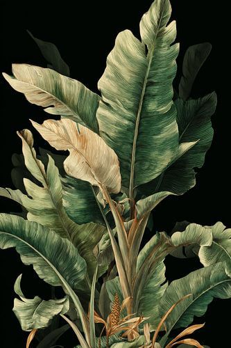 Tropical Banana Leaves in Dark Elegance Botanical Illustration
