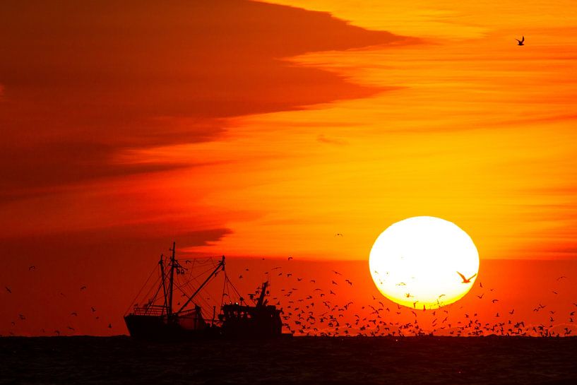 Vissersboot bij ondergaande zon met meeuwen van Menno van Duijn