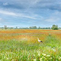 Ooievaar in een schilderachtig landschap van Van Gogh