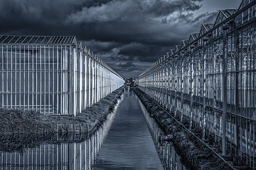 Greenhouse cpmlex in the Westland