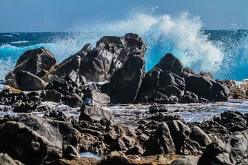 Noord kust Aruba van Ruurd van der Meulen