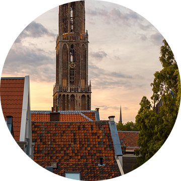 De Daken van Utrecht van Thomas van Galen