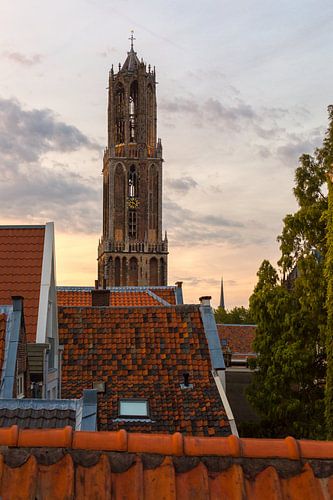 The Rooftops of Utrecht