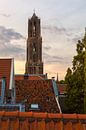 The Rooftops of Utrecht by Thomas van Galen thumbnail