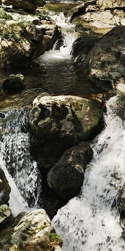 Der Riesbach im Riesloch bei Bodenmais