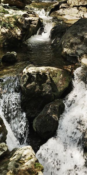 The Riesbach in the Riesloch near Bodenmais by Jörg Hausmann