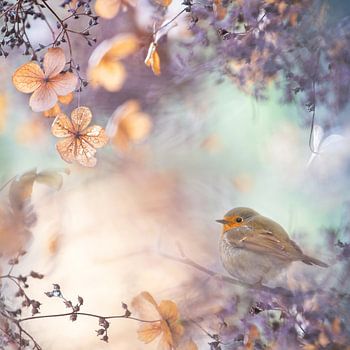 Frame with climbing hydrangea