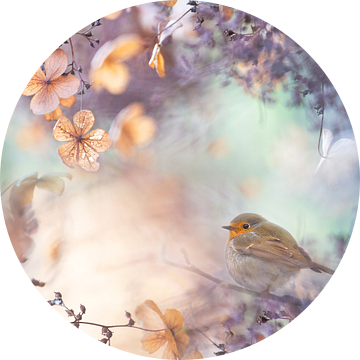 Kader met klimhortensia