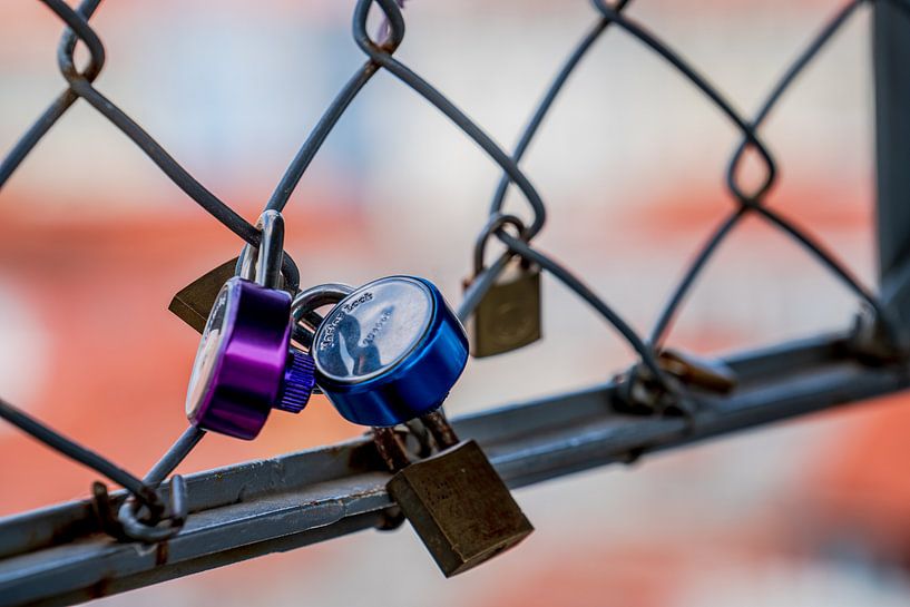 Lovelocks In Love von Urban Photo Lab