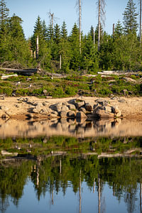 Der Oderteich im Harz