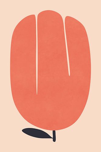 Orangefarbene Tulpenblüte