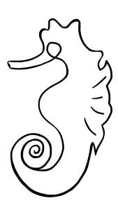 Seepferdchen ~ abstrakte Strichzeichnung von Joyce Kuipers