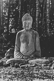Buddha - The Awakened One. Monument statue of Buddhism