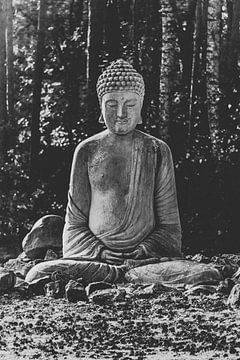 Boeddha - De Ontwaakte. Monument standbeeld van het boeddhisme van Jakob Baranowski - Photography - Video - Photoshop
