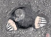 Mole by Yvonne Jansen thumbnail