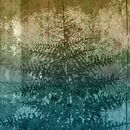 Abies somnium - Abstract Minimalistisch Botanisch in pastelgroen en blauw van Dina Dankers thumbnail