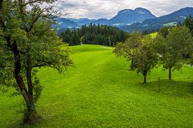 Paysage de montagne idyllique au Tyrol sur ManfredFotos