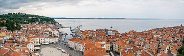 Panorama Piran, Slovenia by Lemayee