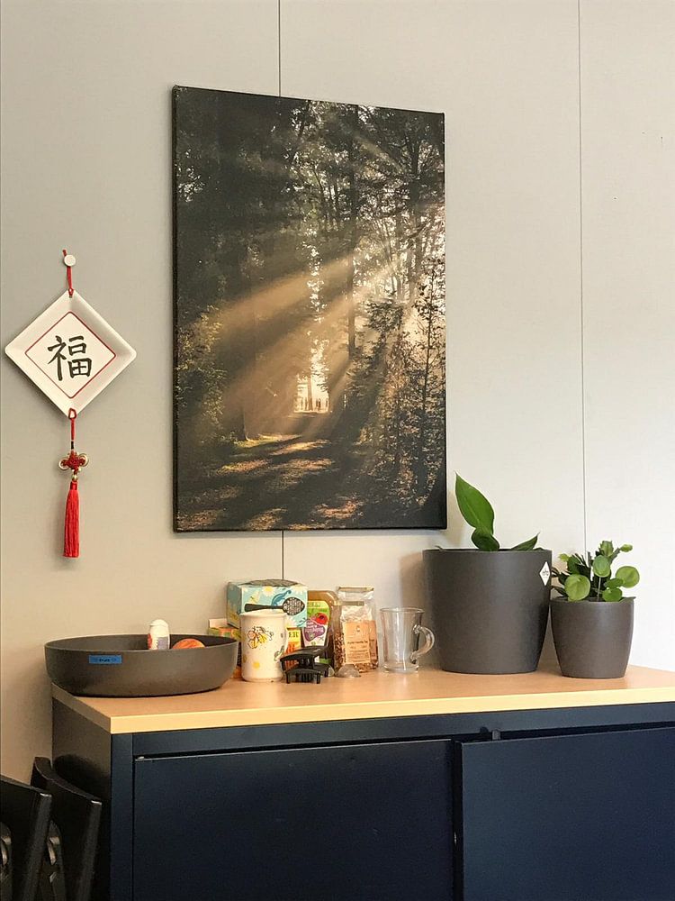 Sonnengruß! Die Sonnenstrahlen scheinen durch den Wald von Amelisweerd!  von Arthur Puls Photography 