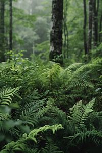 Faszination Wald