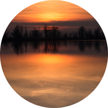 Gouden zonsondergang Oostvaardersplassen van Mirakels Kiekje