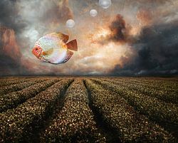 Just An Ordinary day