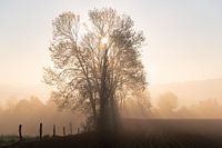 Zonsopkomst in Kluisbergen