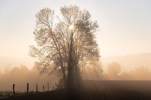 Zonsopkomst in Kluisbergen