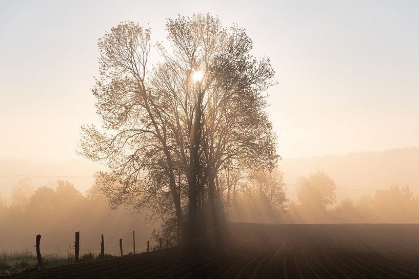 Zonsopkomst in Kluisbergen van Nicola Mathu