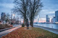 ferry terminal by Michael van Dam thumbnail