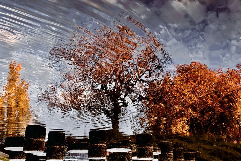 Reflections. Herbstlandschaft. von Mariia Merkulova
