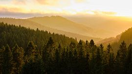 Panorama of the mountainous landscape at sunset in the Sauerland