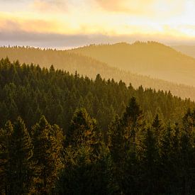 Panorama of the mountainous landscape at sunset in the Sauerland by Björn Jeurgens