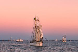 Segelschiffe im Sonnenuntergang auf der Hanse Sail in Rostock