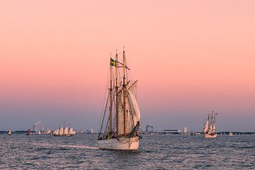 Sailing ships in the sunset at the Hanse Sail in Rostock